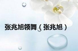 张兆旭领舞（张兆旭）