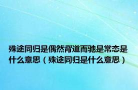 殊途同归是偶然背道而驰是常态是什么意思（殊途同归是什么意思）