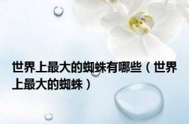 世界上最大的蜘蛛有哪些（世界上最大的蜘蛛）