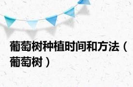 葡萄树种植时间和方法（葡萄树）