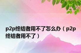 p2p终结者用不了怎么办（p2p终结者用不了）