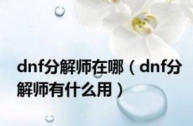 dnf分解师在哪（dnf分解师有什么用）