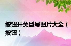 按钮开关型号图片大全（按钮）