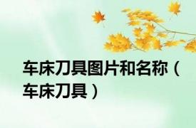 车床刀具图片和名称（车床刀具）