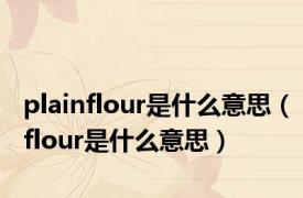plainflour是什么意思（flour是什么意思）