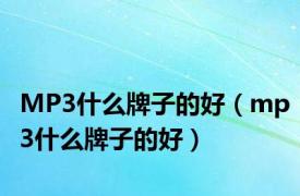 MP3什么牌子的好（mp3什么牌子的好）