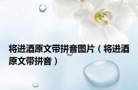 将进酒原文带拼音图片（将进酒原文带拼音）