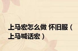 上马宏怎么做 怀旧服（上马喊话宏）
