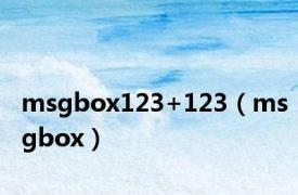 msgbox123+123（msgbox）