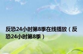 反恐24小时第8季在线播放（反恐24小时第8季）