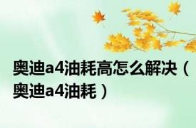 奥迪a4油耗高怎么解决（奥迪a4油耗）
