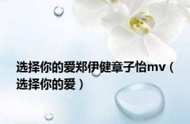 选择你的爱郑伊健章子怡mv（选择你的爱）
