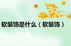 软装饰是什么（软装饰）