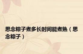 思念粽子煮多长时间能煮熟（思念粽子）