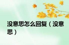没意思怎么回复（没意思）