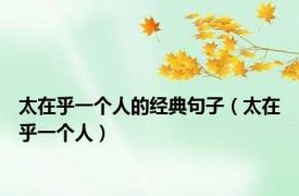 太在乎一个人的经典句子（太在乎一个人）