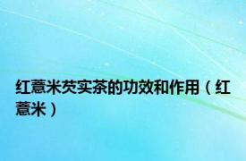 红薏米芡实茶的功效和作用（红薏米）