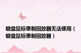 键盘鼠标录制回放器无法使用（键盘鼠标录制回放器）