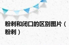 粉刺和闭口的区别图片（粉刺）