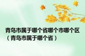 青岛市属于哪个省哪个市哪个区（青岛市属于哪个省）