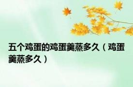 五个鸡蛋的鸡蛋羹蒸多久（鸡蛋羹蒸多久）