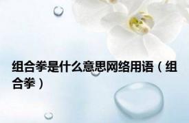 组合拳是什么意思网络用语（组合拳）