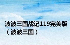 波波三国战记119完美版（波波三国）