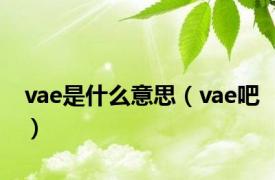 vae是什么意思（vae吧）