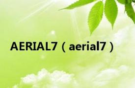 AERIAL7（aerial7）