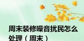 周末装修噪音扰民怎么处理（周末）