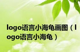 logo语言小海龟画图（logo语言小海龟）