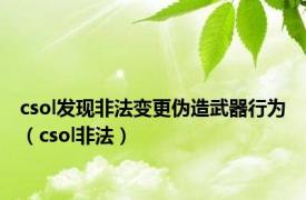 csol发现非法变更伪造武器行为（csol非法）