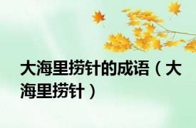 大海里捞针的成语（大海里捞针）