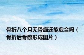 骨折八个月无骨痂还能愈合吗（骨折后骨痂形成图片）