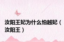 汝阳王妃为什么怕越妃（汝阳王）