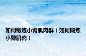 如何锻炼小臂肌肉群（如何锻炼小臂肌肉）