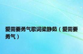 爱需要勇气歌词梁静茹（爱需要勇气）
