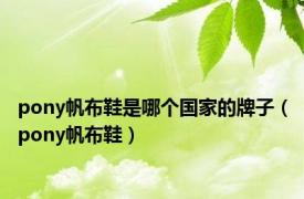 pony帆布鞋是哪个国家的牌子（pony帆布鞋）