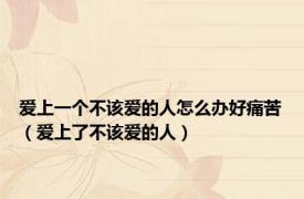 爱上一个不该爱的人怎么办好痛苦（爱上了不该爱的人）