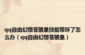 qq自由幻想苍狼皇技能带坏了怎么办（qq自由幻想苍狼皇）