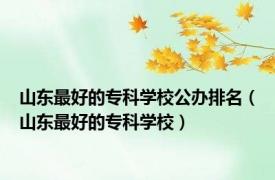 山东最好的专科学校公办排名（山东最好的专科学校）