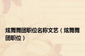 炫舞舞团职位名称文艺（炫舞舞团职位）
