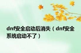 dnf安全启动后消失（dnf安全系统启动不了）