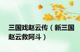 三国戏赵云传（新三国赵云救阿斗）