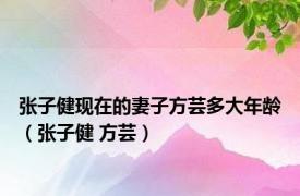 张子健现在的妻子方芸多大年龄（张子健 方芸）