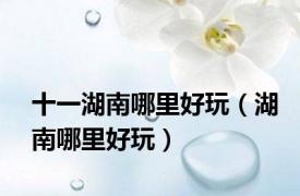 十一湖南哪里好玩（湖南哪里好玩）