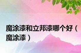魔涂漆和立邦漆哪个好（魔涂漆）