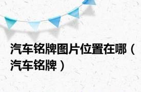 汽车铭牌图片位置在哪（汽车铭牌）