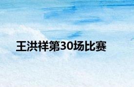 王洪祥第30场比赛
