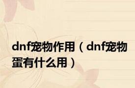 dnf宠物作用（dnf宠物蛋有什么用）